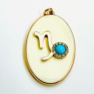 Stella & Dot Momento Zodiac Capricorn Charm